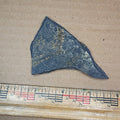 Pennsylvanian Fern Fossil #9-055