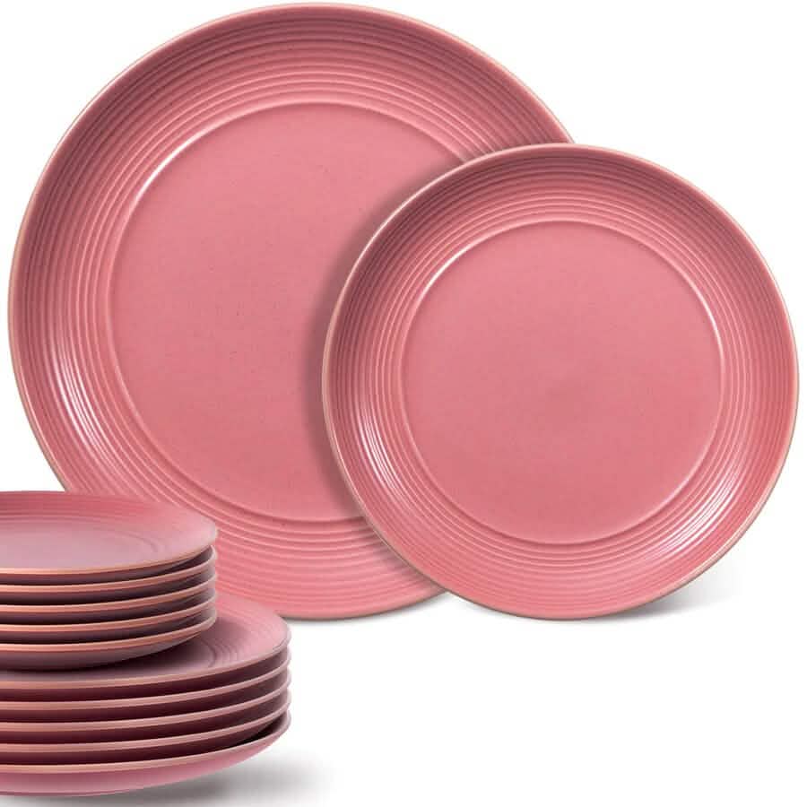 12-Piece: HITECLIFE Microwave and Dishwasher Safe Dinner Plates Set