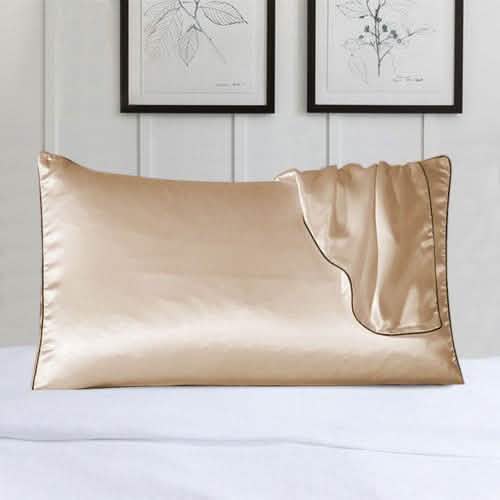 2-Pack: 100% Silk Pillow Cover with Trim