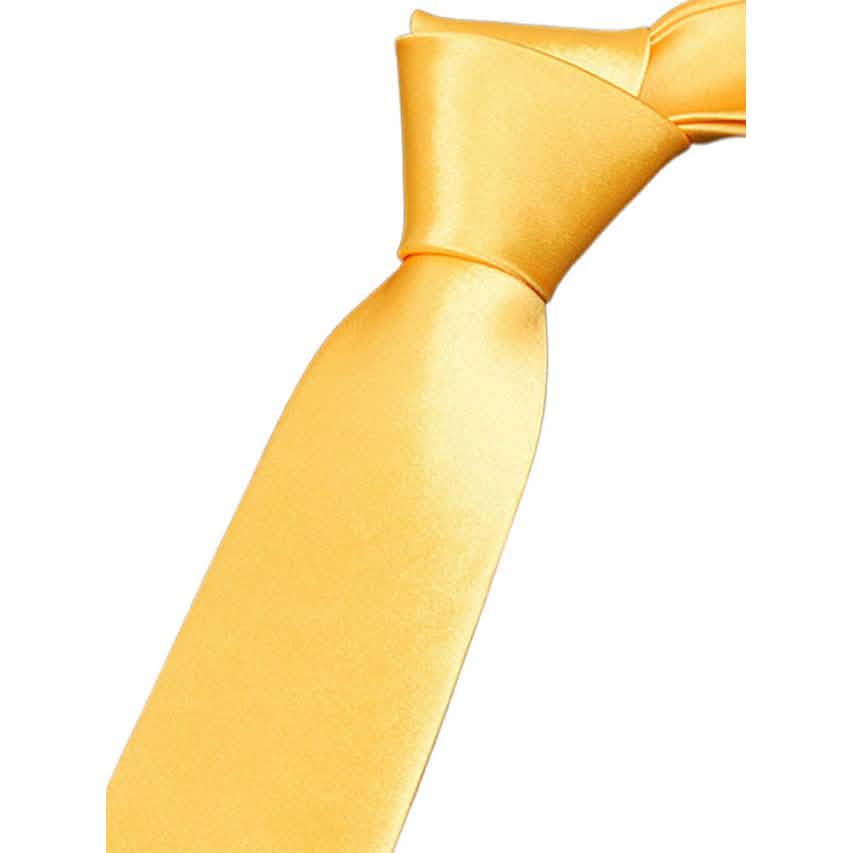 2-Pack: Solid Colored Pure Color Neck Ties