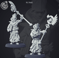 3D Printed Cast n Play 92 Priest Townsfolk 28mm 32mm D&D