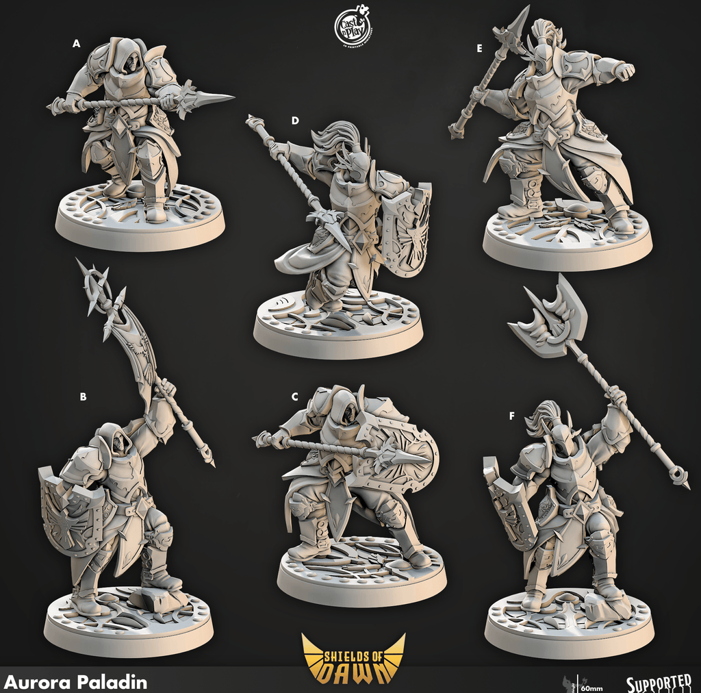 3D Printed Cast n Play Aurora Paladin Shields of Dawn 28mm 32mm D&D