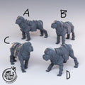 3D Printed Cast n Play - Bandit Mastiffs Set 28mm 32mm D&D