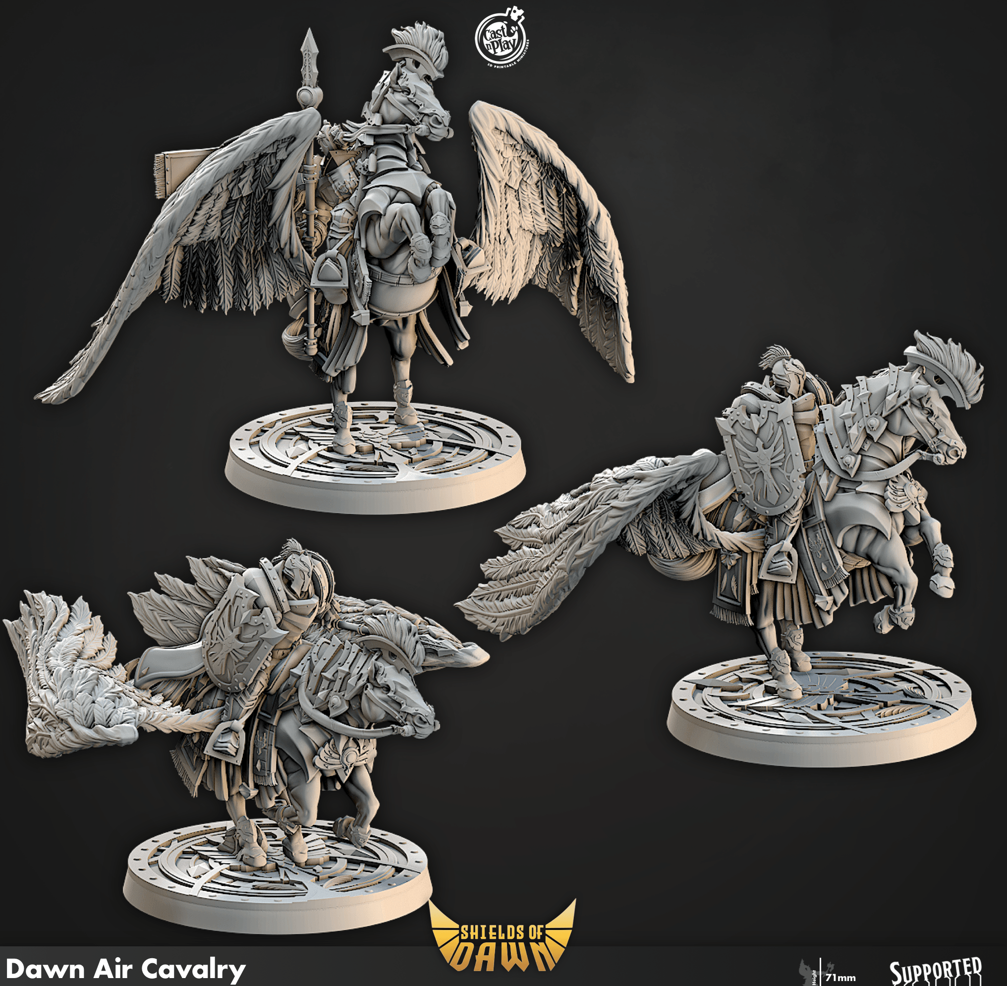 3D Printed Cast n Play Dawn Air Cavalry Shields of Dawn 28mm 32mm D&D