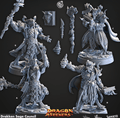 3D Printed Cast n Play Drakken Sage Council Dragon Seekers 28 32mm D&D