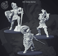 3D Printed Cast n Play Female Warriors 28mm 32mm D&D