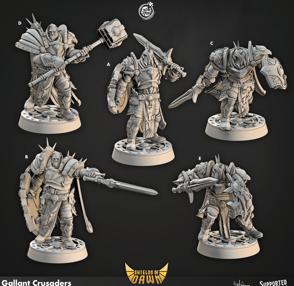3D Printed Cast n Play Gallant Crusaders Shields of Dawn 28mm 32mm D&D