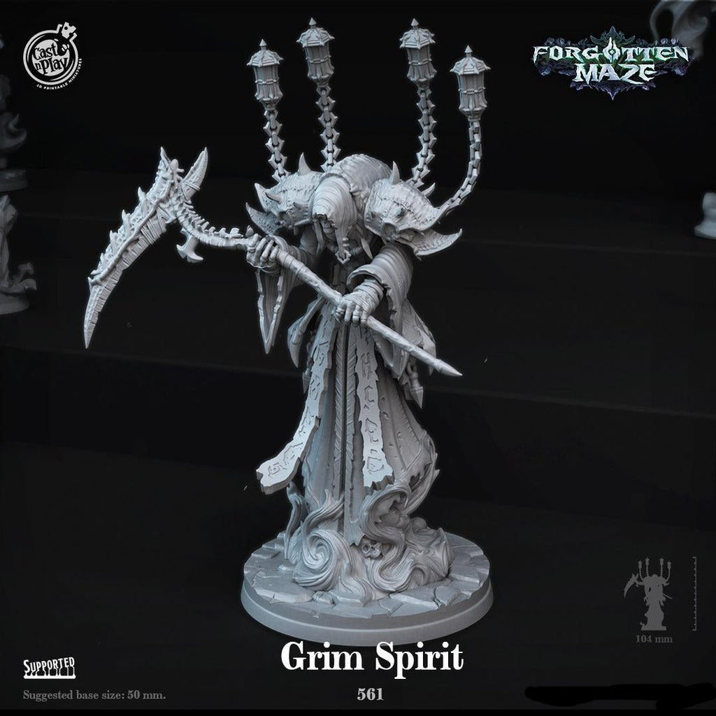 3D Printed Cast n Play Grim Spirit Forgotten Maze 28mm 32mm D&D