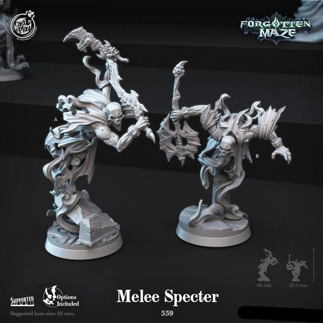 3D Printed Cast n Play Melee Specter Forgotten Maze 28mm 32mm D&D