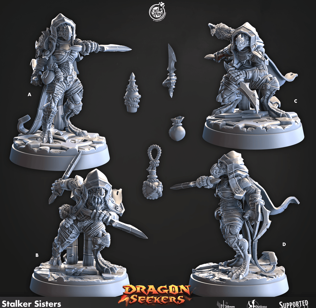 3D Printed Cast n Play Stalker Sisters Dragon Seekers 28mm 32mm D&D