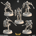 3D Printed Cast n Play Sunrise Maidens Shields of Dawn 28mm 32mm D&D