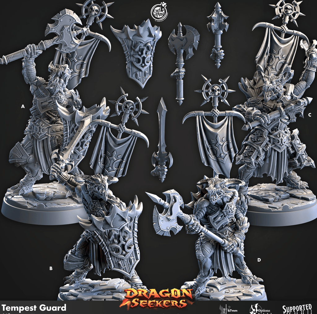 3D Printed Cast n Play Tempest Guard Dragon Seekers 28mm 32mm D&D