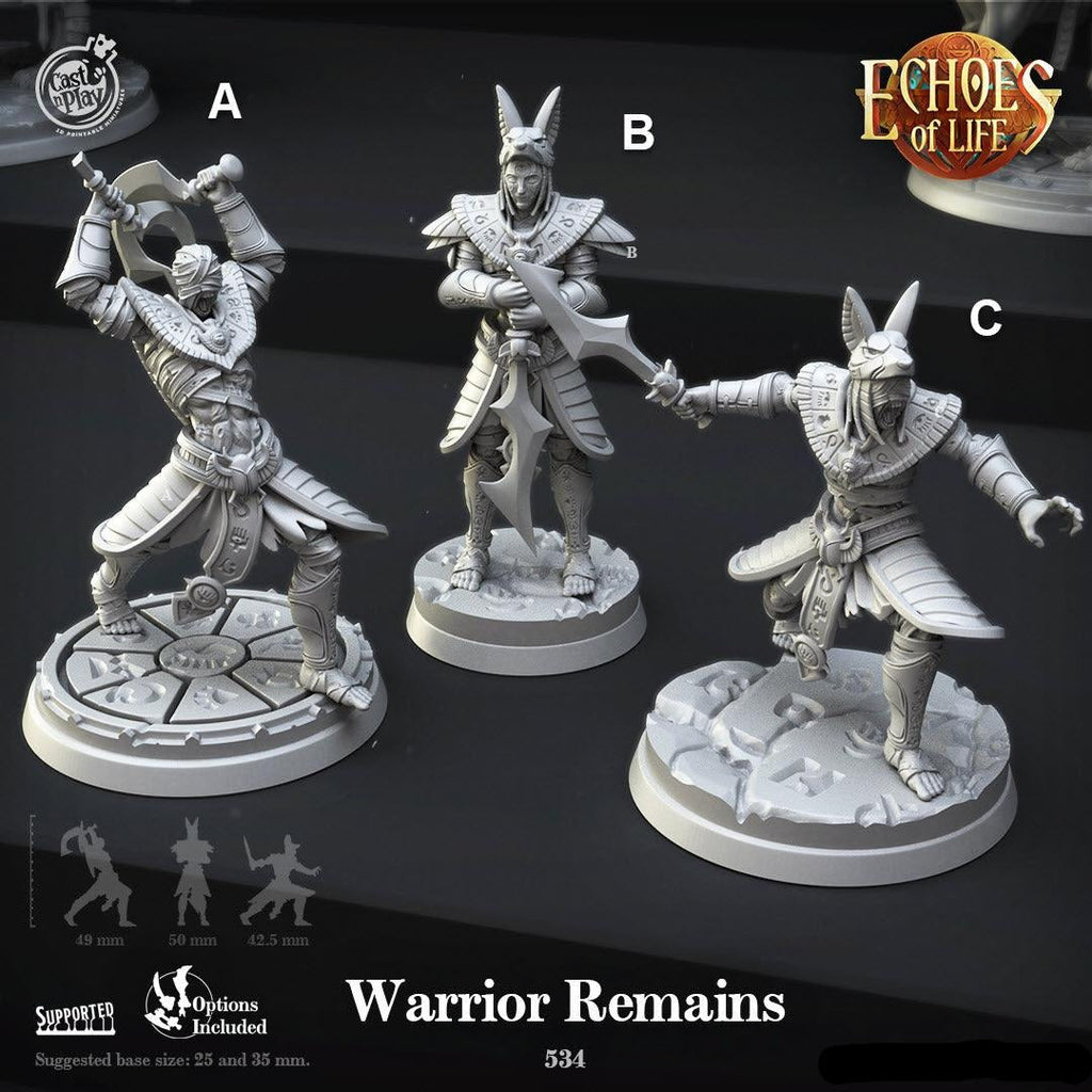 3D Printed Cast n Play Warrior Remains Echoes of Life 28 32mm D&D