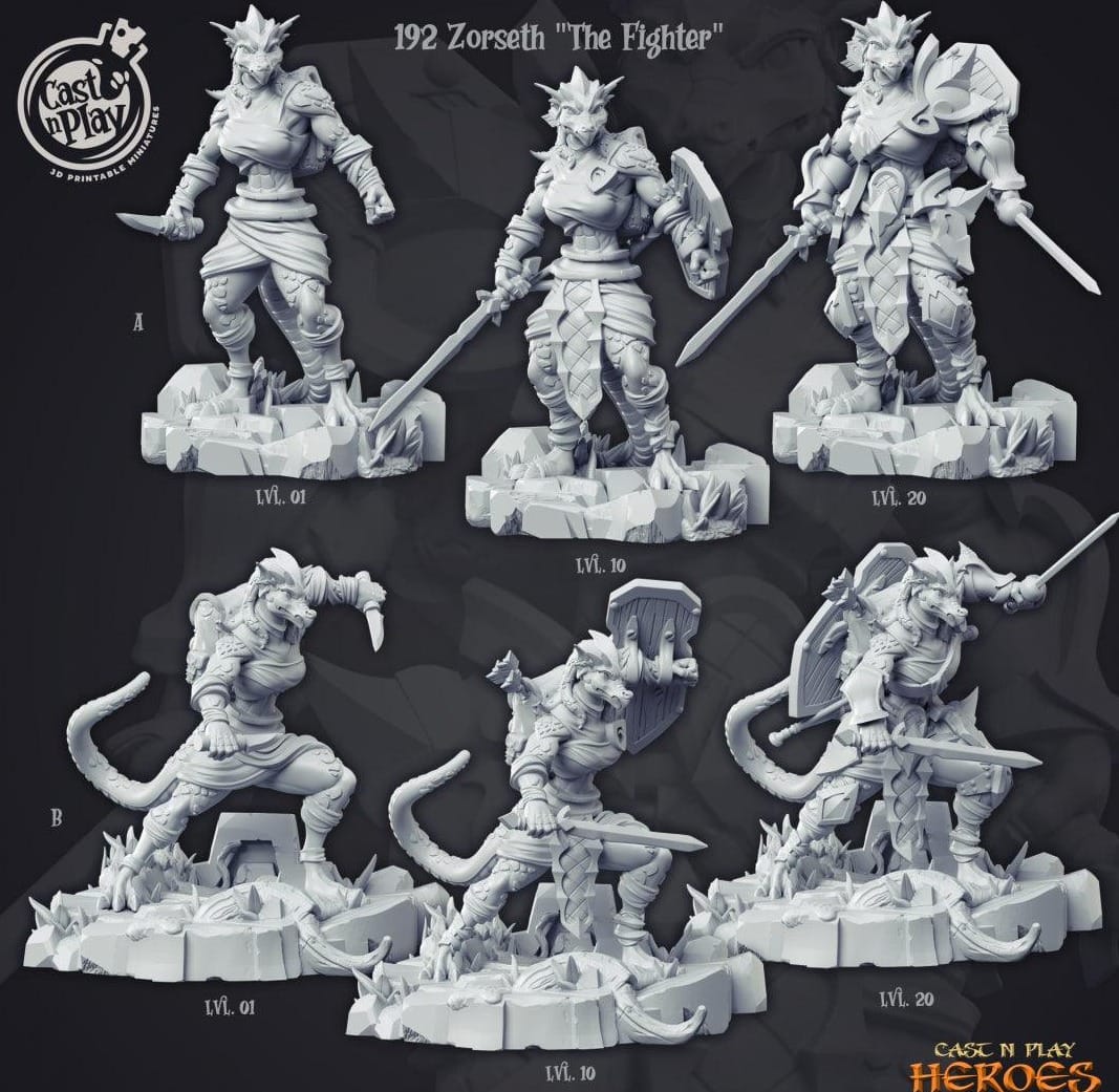 3D Printed Cast n Play Zorseth the Fighter Heroes Vol. 1 28mm 32mm D&D