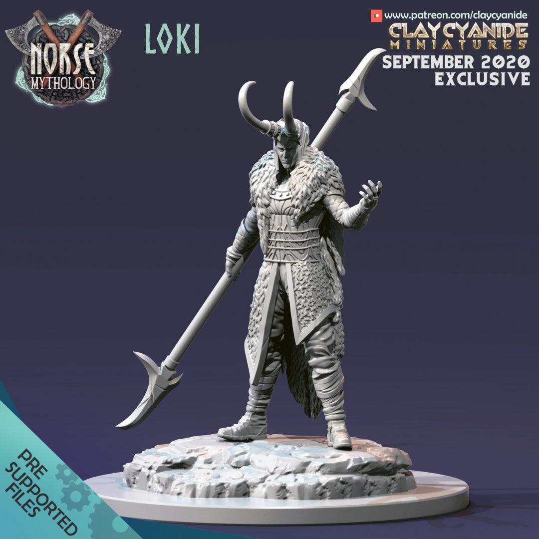 3D Printed Clay Cyanide Loki Norse Mythology 28 32 mm D&D