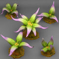 3D Printed Fantastic Plants and Rocks Elegant Poisonous Plants 28mm - 32mm D&D Wargaming