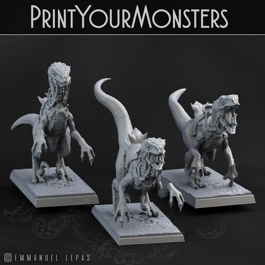 3D Printed Print Your Monsters Dark Elves Rider Set A 28mm - 32mm D&D Wargaming