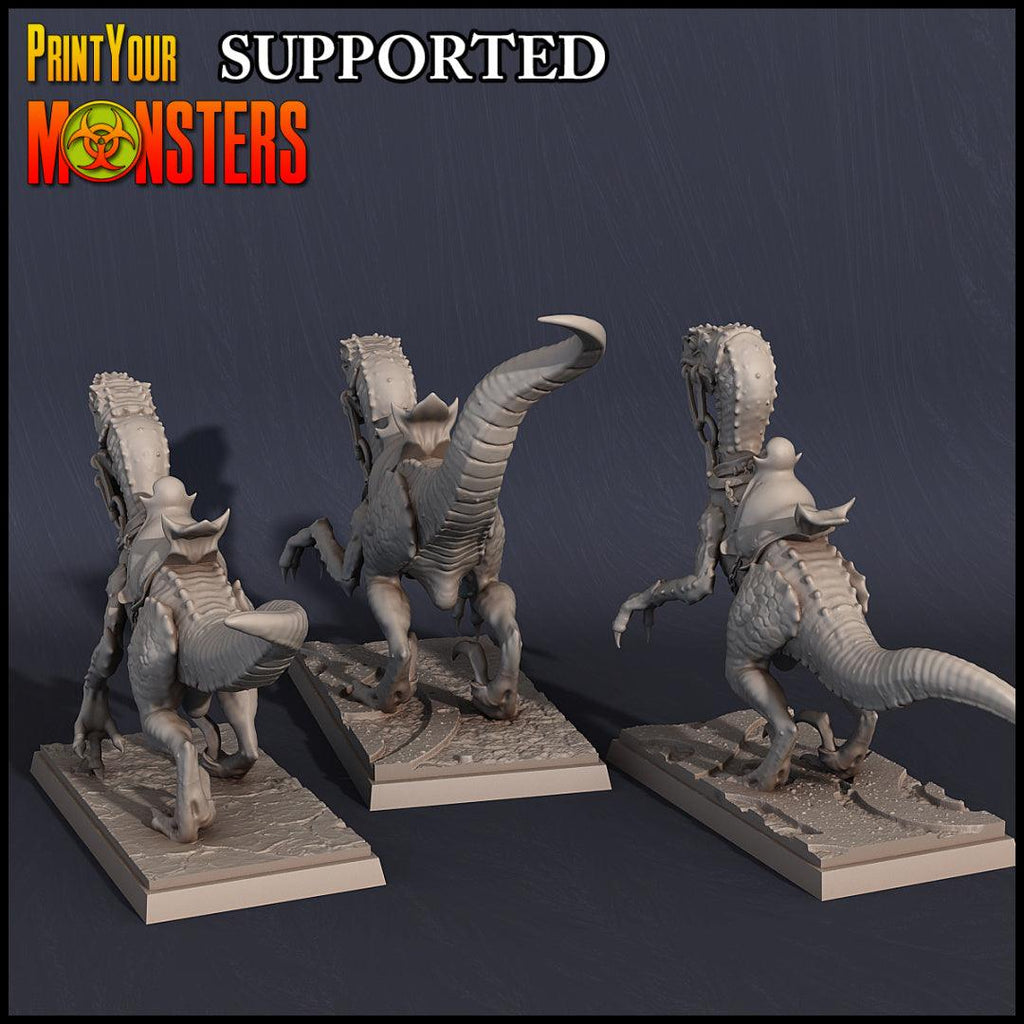 3D Printed Print Your Monsters Dark Elves Rider Set C 28mm - 32mm D&D Wargaming