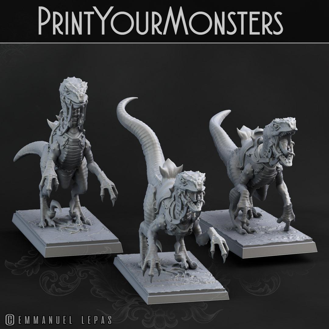 3D Printed Print Your Monsters Dark Elves Rider Set C 28mm - 32mm D&D Wargaming