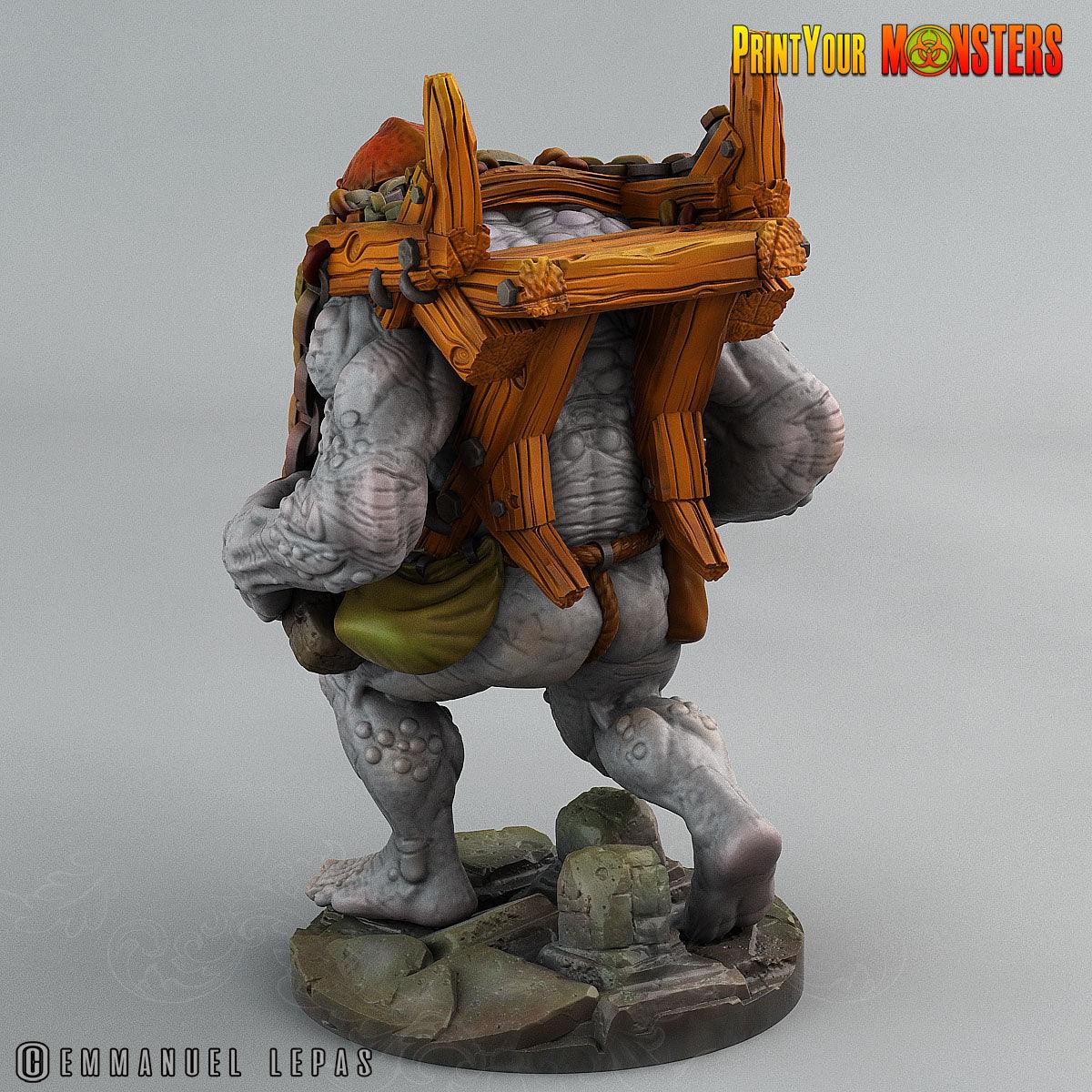 3D Printed Print Your Monsters Trolls Depths Of Choas Confronting The Abyss 28mm - 32mm D&D Wargaming