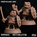 3D Printed Sordane Publishing Froin Paladin Aung Moonsoon 28 32mm D&D