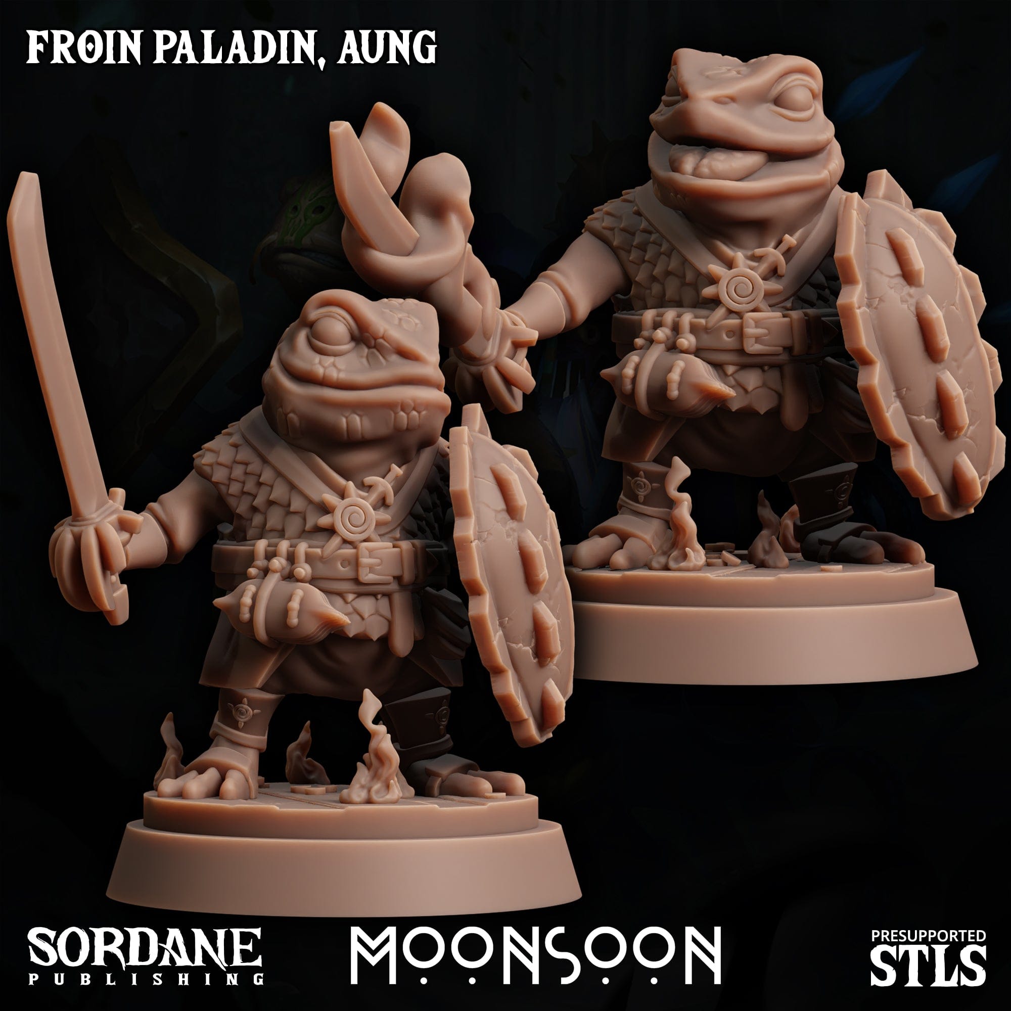3D Printed Sordane Publishing Froin Paladin Aung Moonsoon 28 32mm D&D