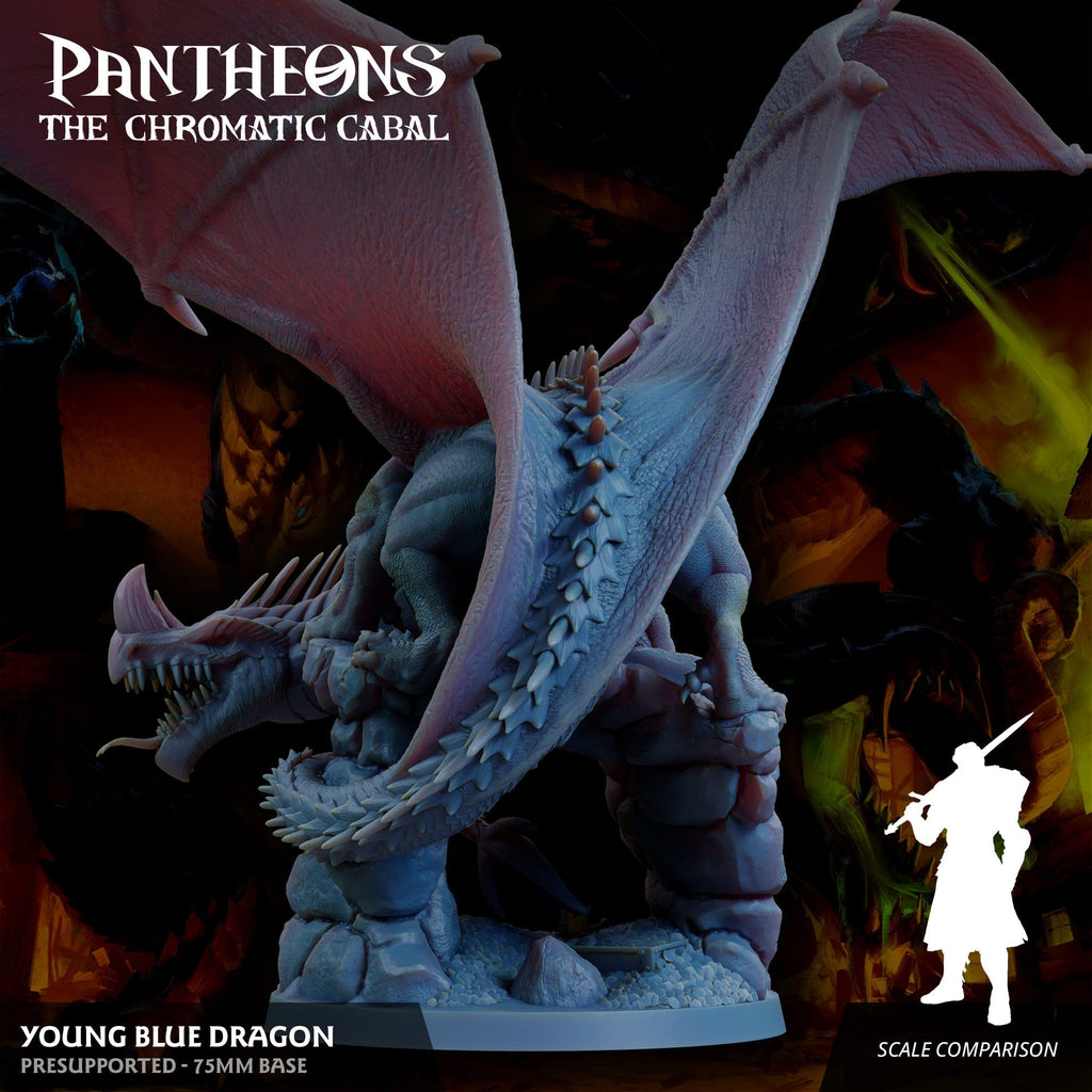 3D Printed Sordane Publishing Young Blue Dragon Pantheons The Chromatic Cabal 28 32mm D&D