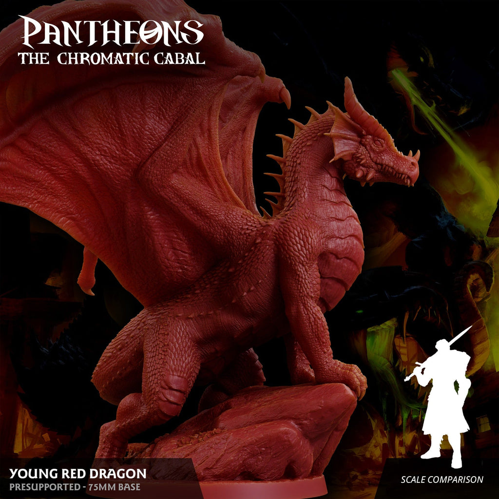3D Printed Sordane Publishing Young Red Dragon Pantheons The Chromatic Cabal 28 32mm D&D