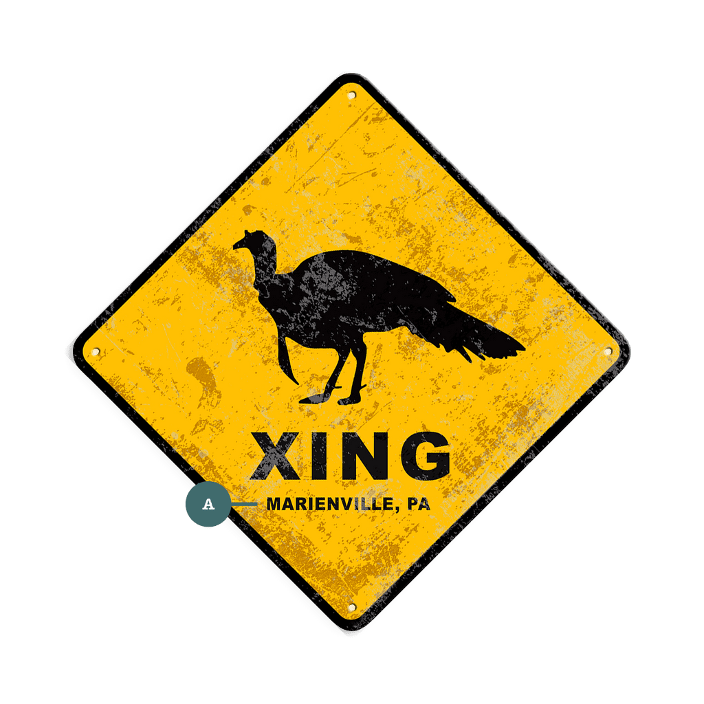 Turkey Crossing - Metal Wall Art