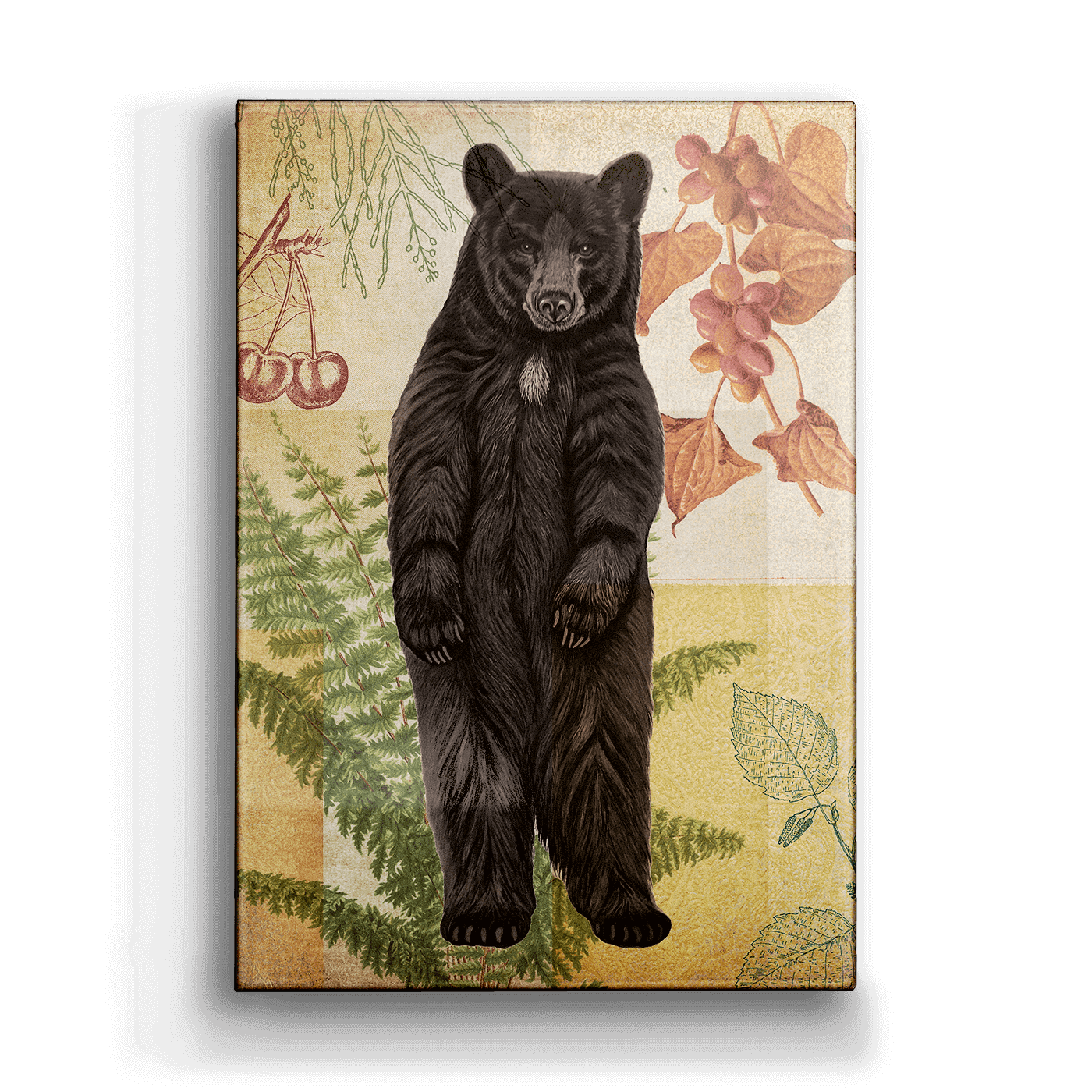 Wildwood Fern Bear - Metal Box Art