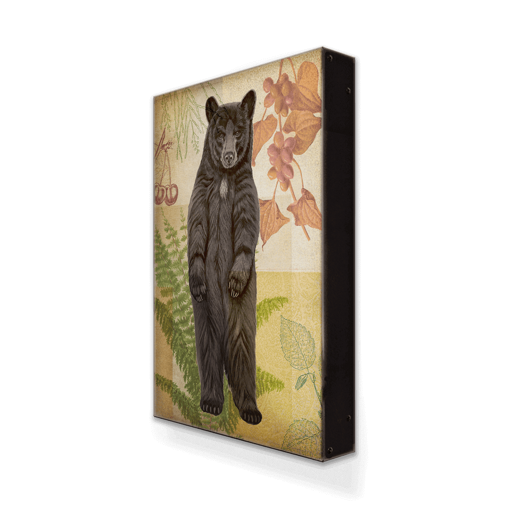 Wildwood Fern Bear - Metal Box Art