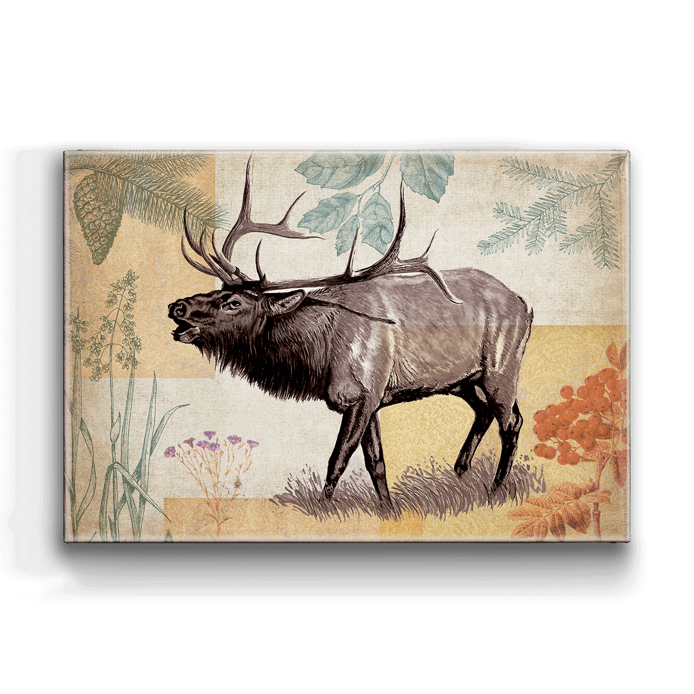 Wildwood Elk - Metal Box Art