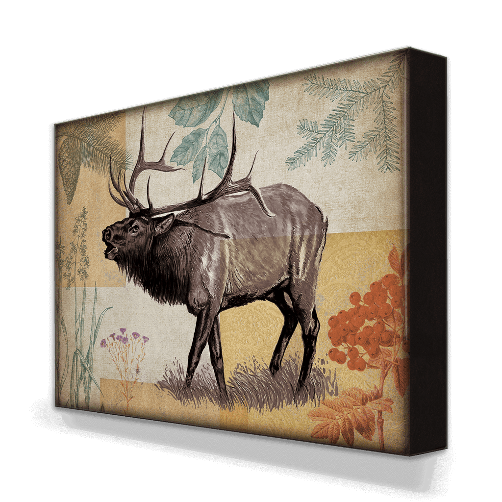 Wildwood Elk - Metal Box Art
