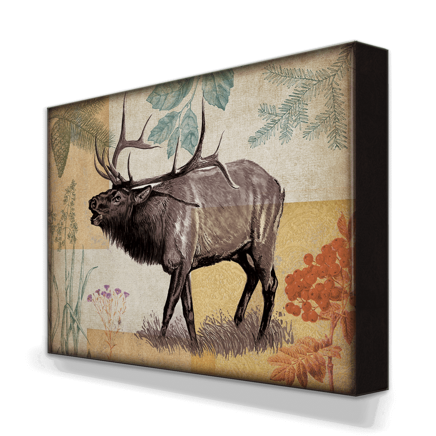 Wildwood Elk - Metal Box Art