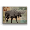 Wildwood Moose - Metal Box Art