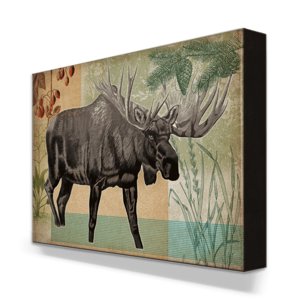 Wildwood Moose - Metal Box Art