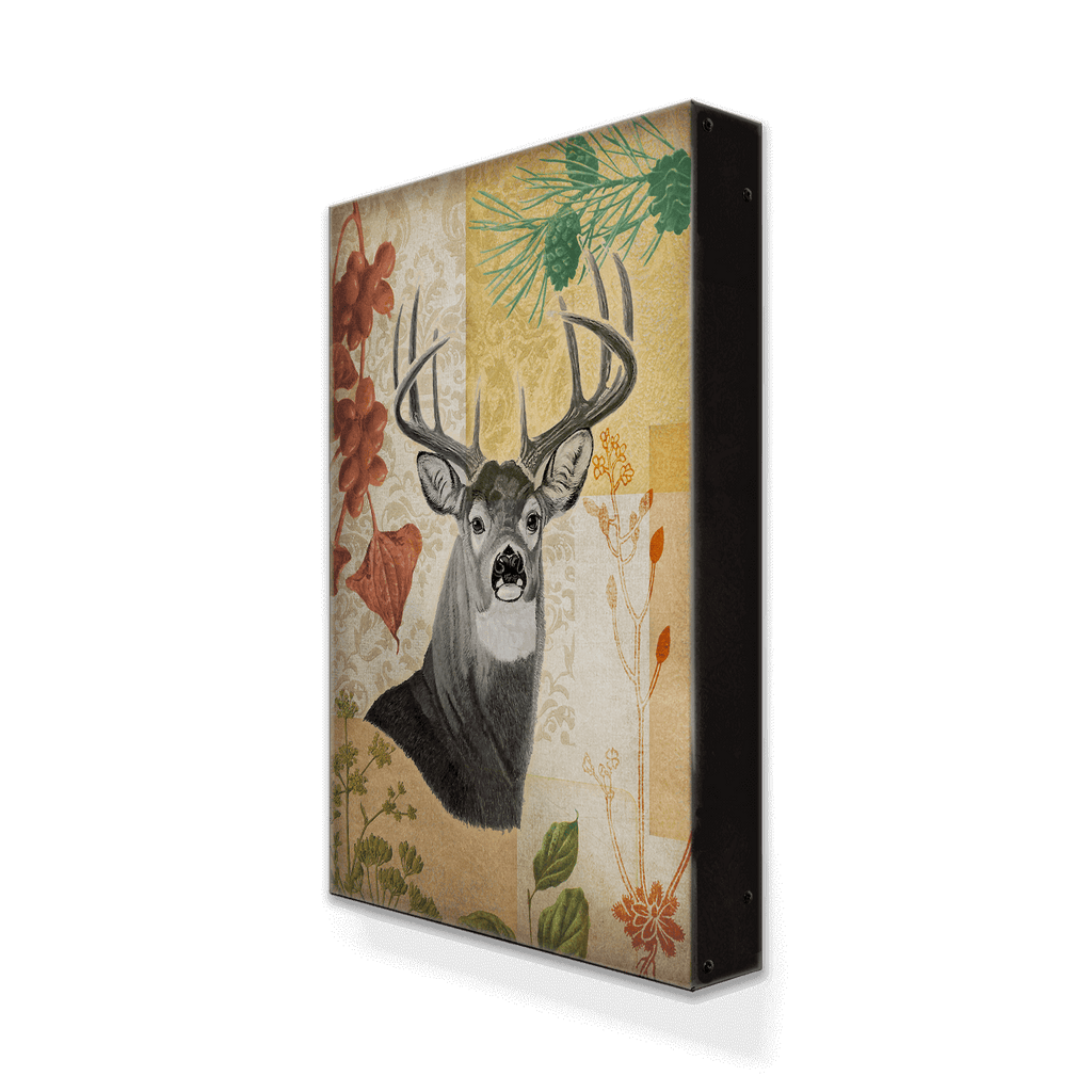 Wildwood Whitetail - Metal Box Art