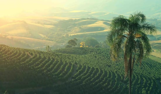 Brazil MWP Serra Negra