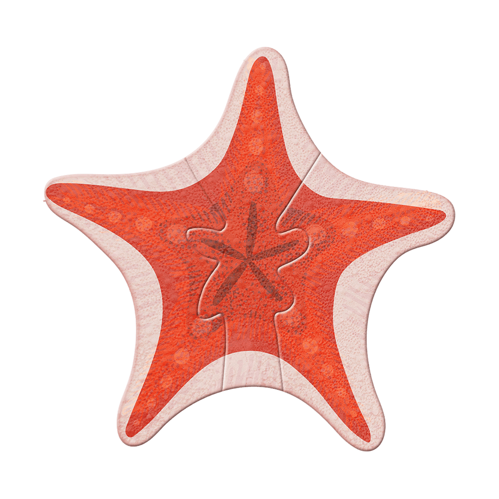 Coastal Starfish - Wood Wall Art