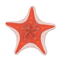 Coastal Starfish - Wood Wall Art