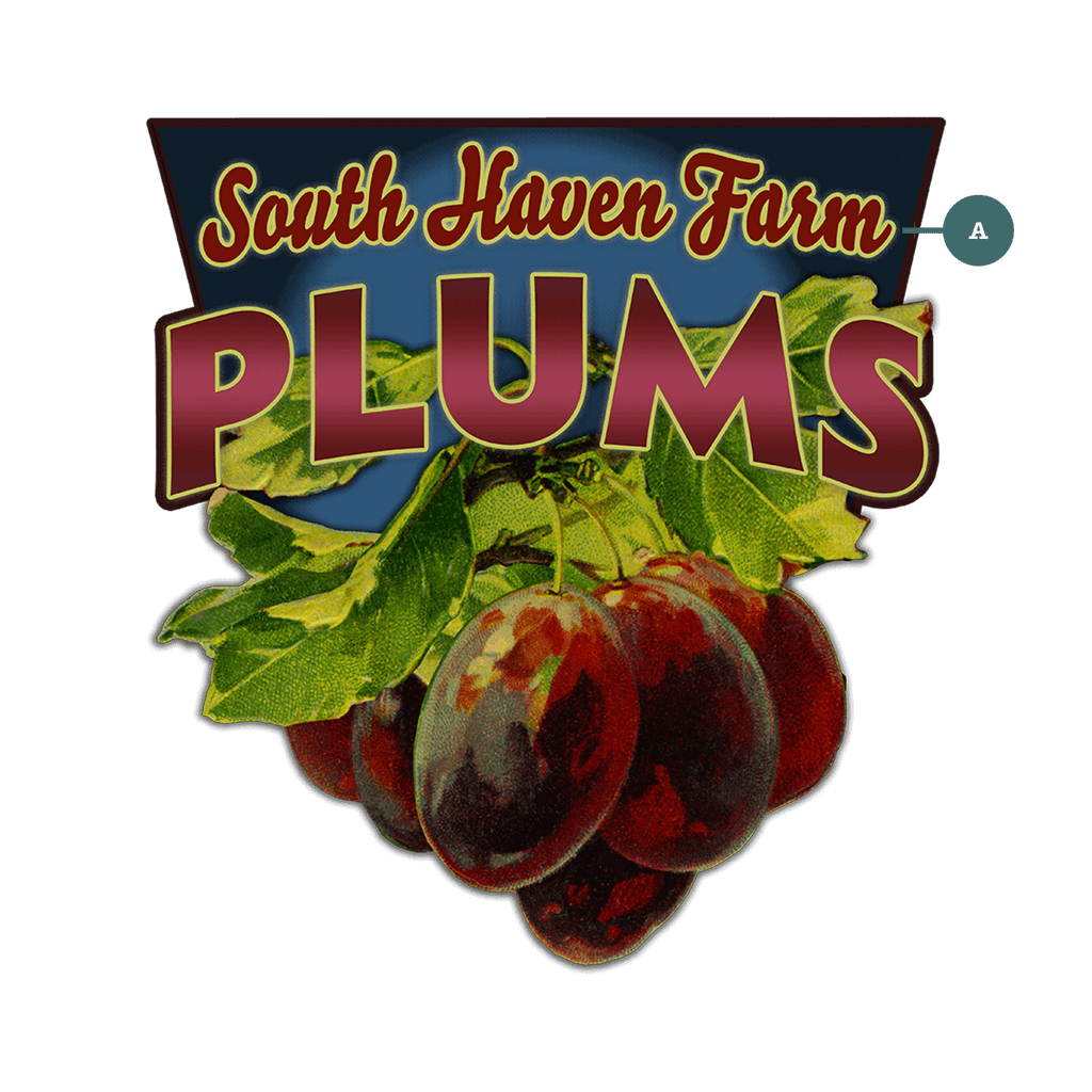 Garden Cutouts: Plums - Decorative Plaque