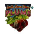 Garden Cutouts: Plums - Decorative Plaque