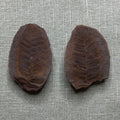 Mazon Creek Fern Fossil #009-071