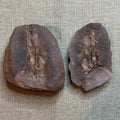 Mazon Creek Wood Fossil #009-072