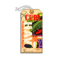Rancho-Boyeros Airport, Havana, Cuba - Luggage Tag