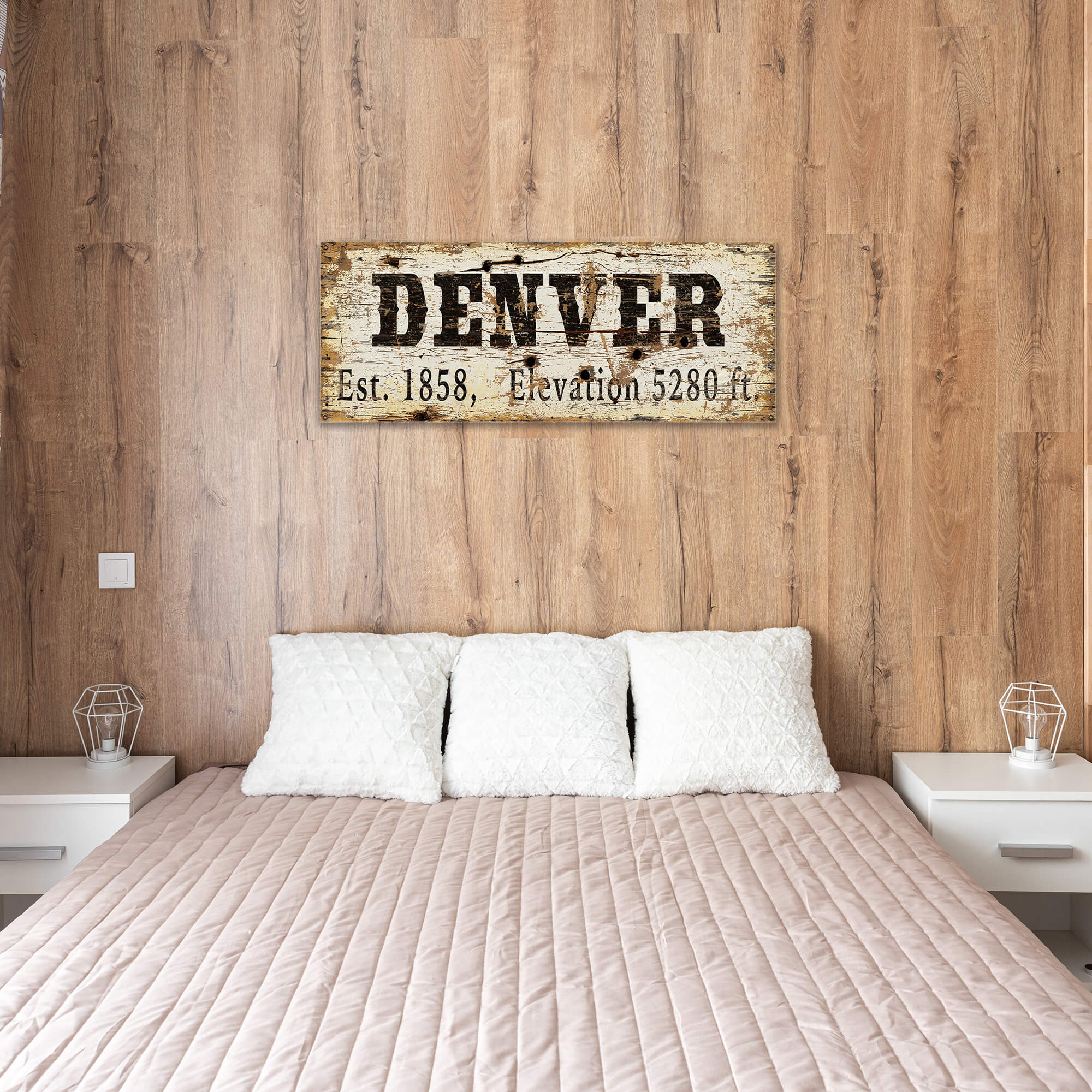Denver Established & Elevation - Wood & Metal Wall Art