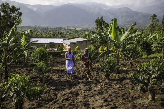 Uganda Rwenzori