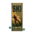 Water Skier Silhouette - Wood & Metal Wall Art