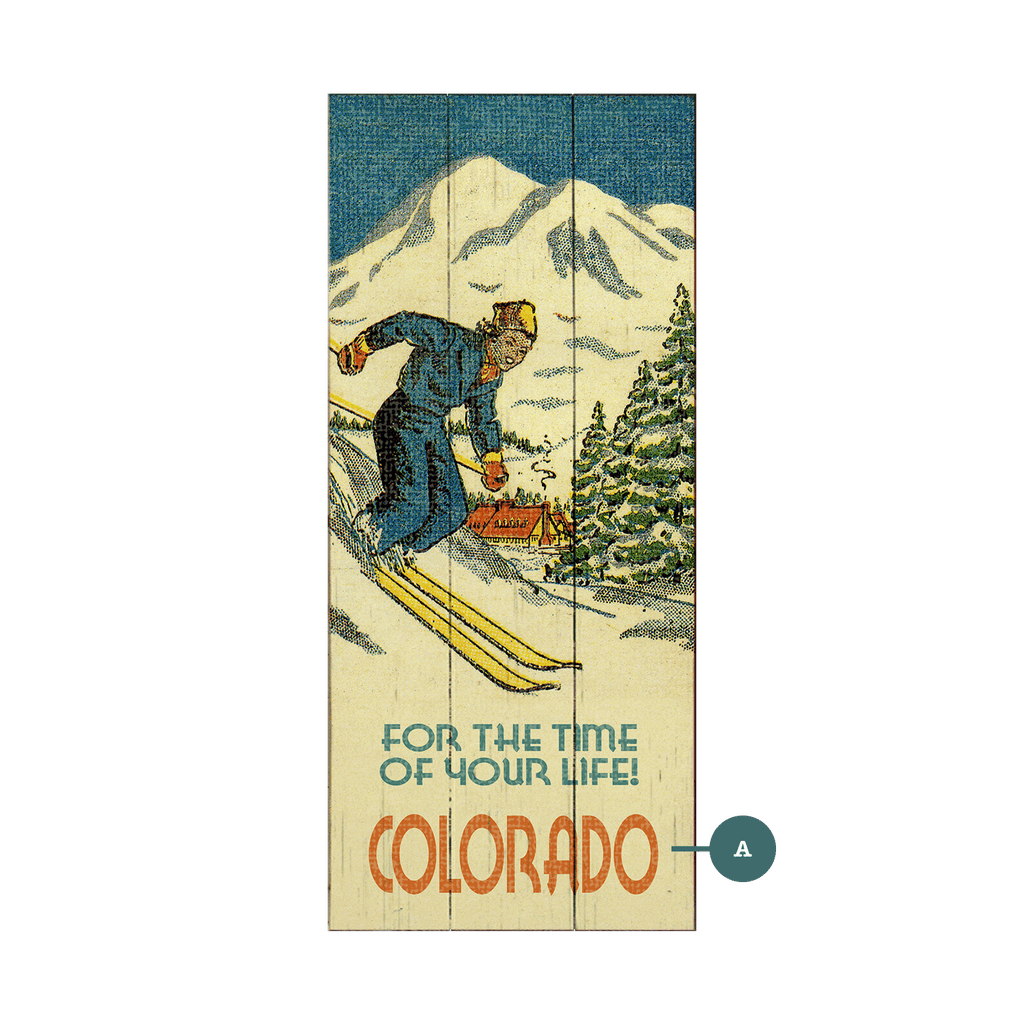 Time of Your Life Downhill Skier - Wood & Metal Wall Art