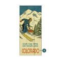 Time of Your Life Downhill Skier - Wood & Metal Wall Art